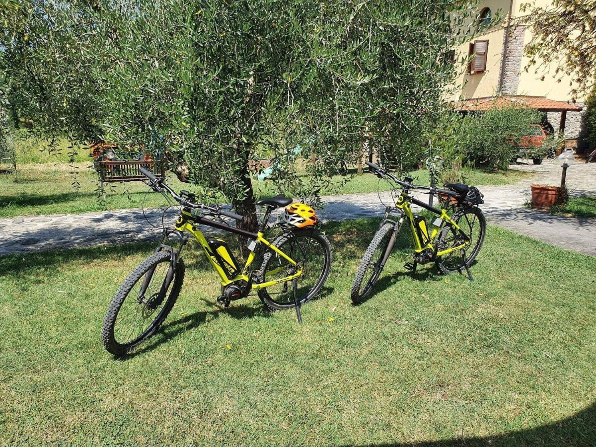 Agriturismo Il Poderetto Licciana Nardi Екстер'єр фото