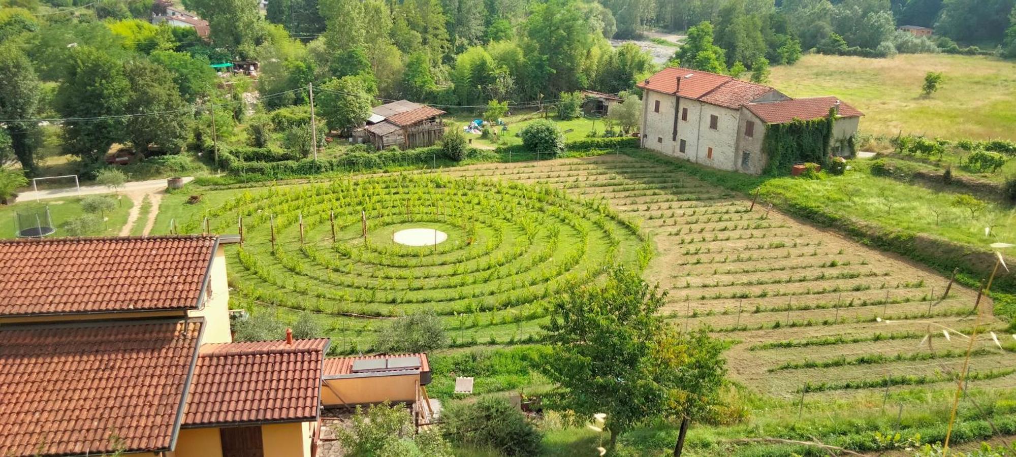 Agriturismo Il Poderetto Licciana Nardi Екстер'єр фото