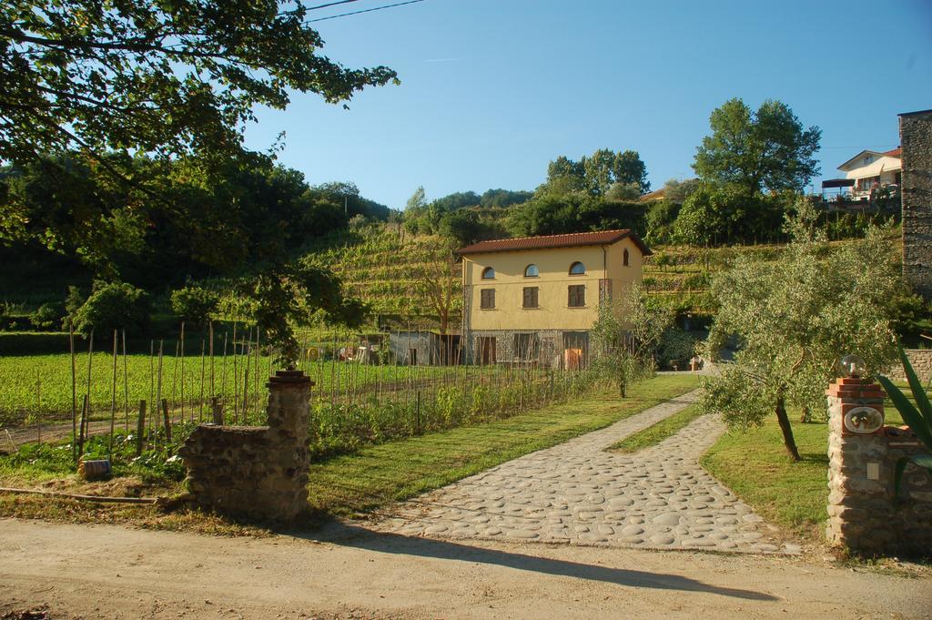 Agriturismo Il Poderetto Licciana Nardi Екстер'єр фото